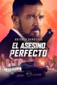 El protector [Subtitulado]